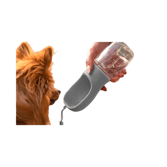 Botella dosificadora para mascota